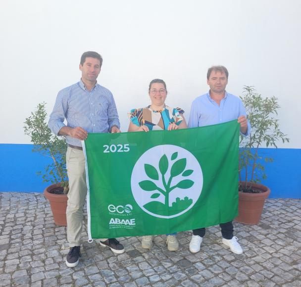 BANDEIRA VERDE ECO-FREGUESIA XXI
